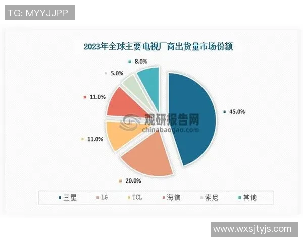 南京排球队在钻石联赛中的节奏表现分析与未来展望